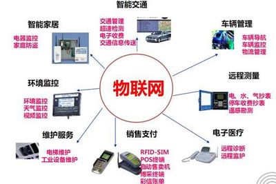 從蜘蛛網到物聯網 人類走了多遠？